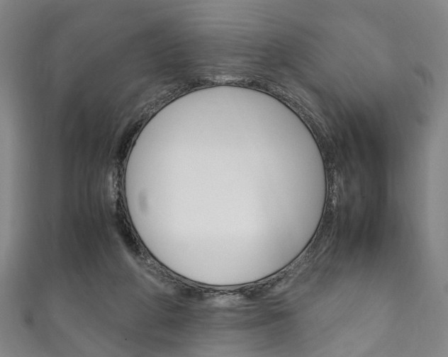 X0000111250210200907021026