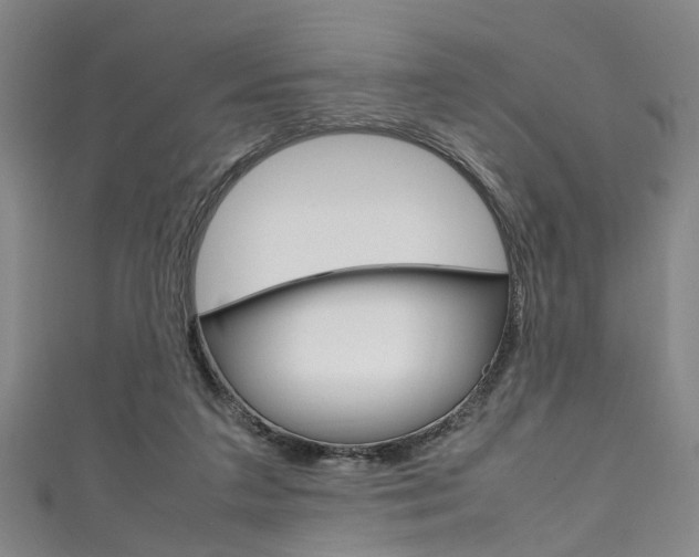 X0000111250211200907021026