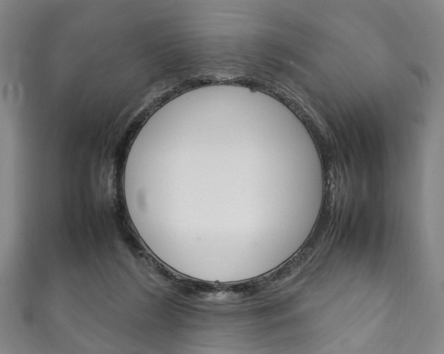 X0000111250212200907021026