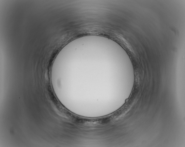 X0000111250213200907021026