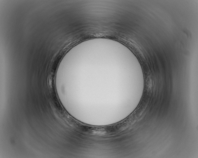 X0000111250214200907021026