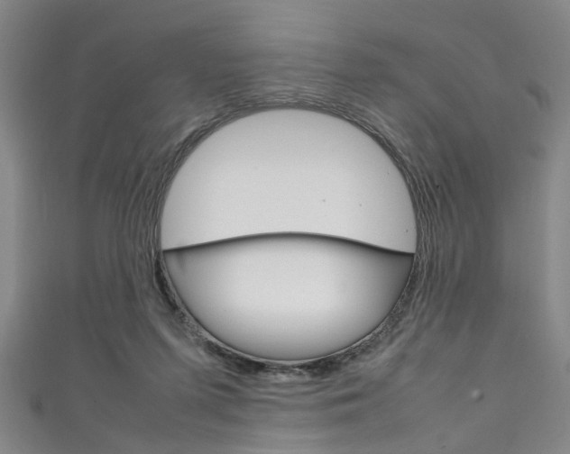 X0000111250215200907021026