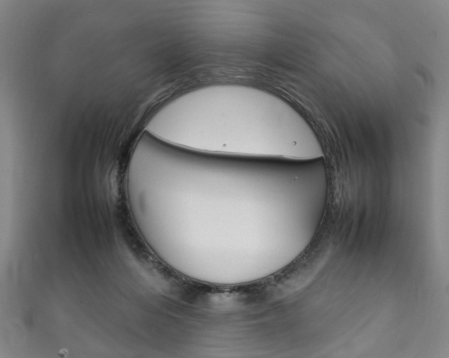 X0000111250216200907021026