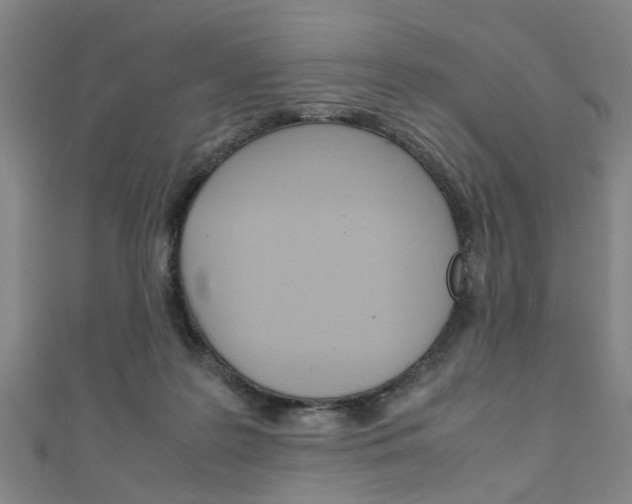 X0000111250219200907021026