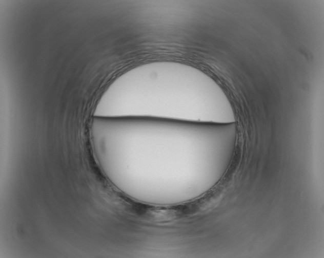 X0000111250221200907021026