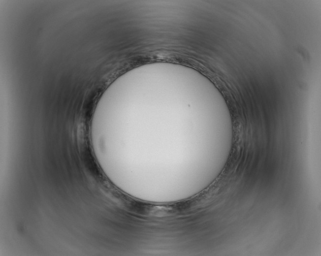 X0000111250222200907021026