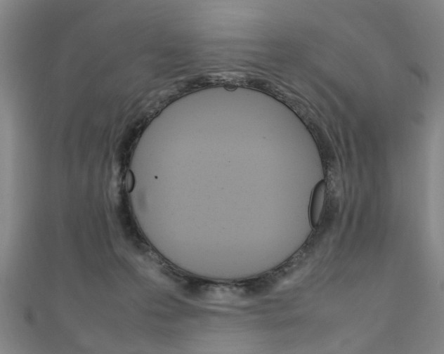 X0000111250223200907021026