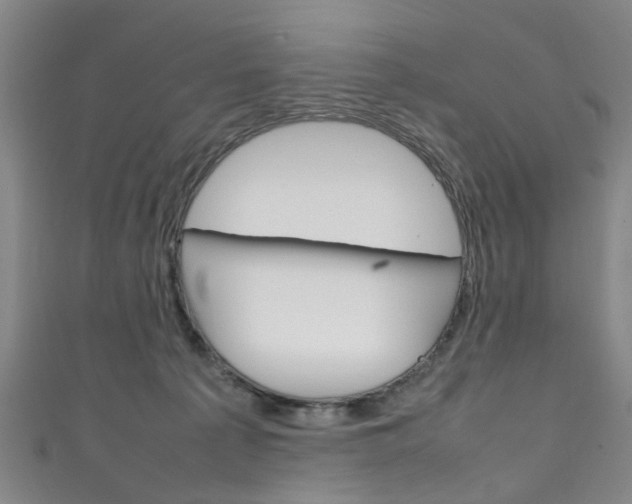X0000111250225200907021026