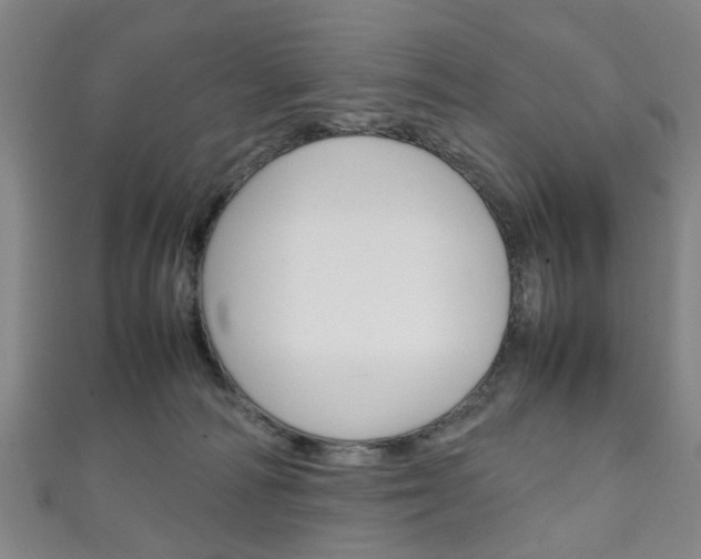 X0000111250226200907021026