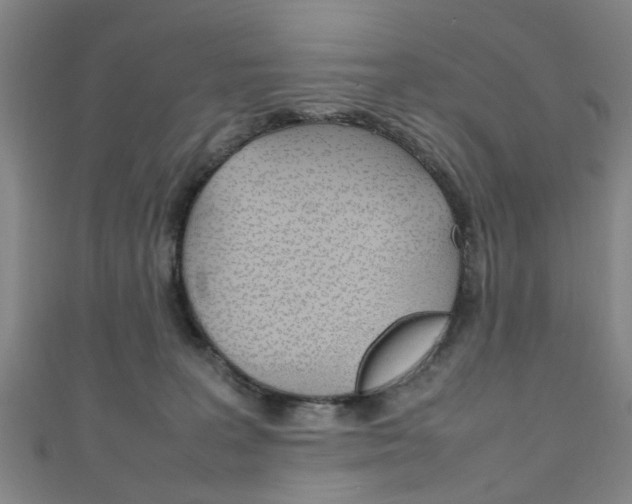 X0000111250227200907021026