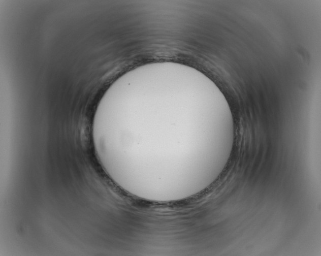 X0000111250228200907021026