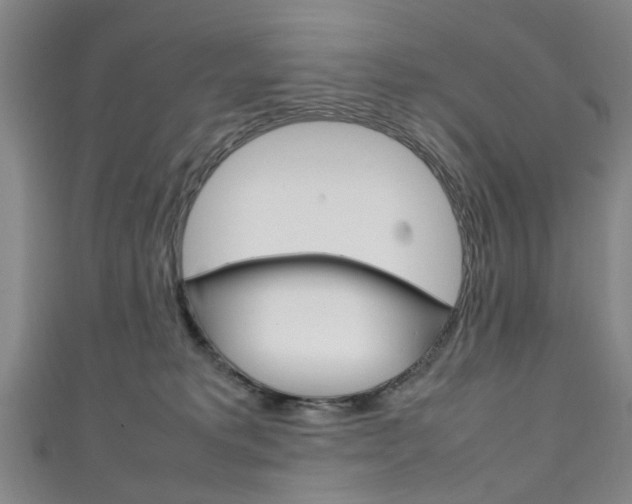 X0000111250229200907021026