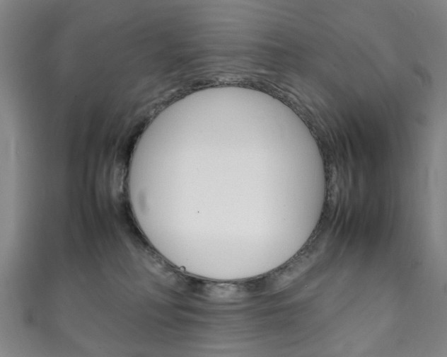 X0000111250230200907021026