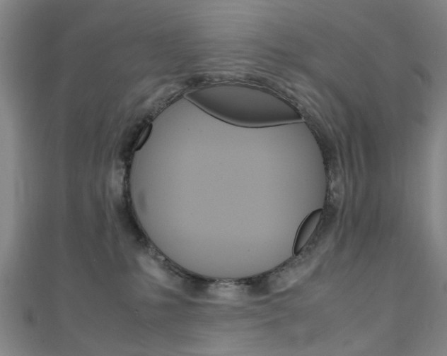 X0000111250231200907021026