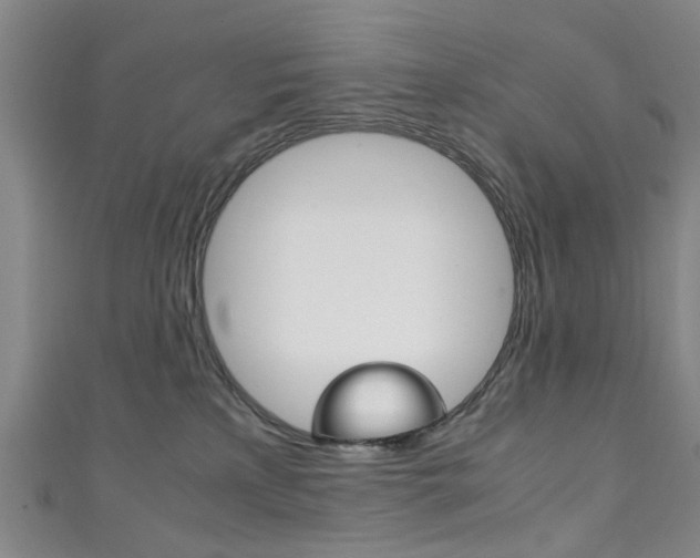 X0000111250233200907021026