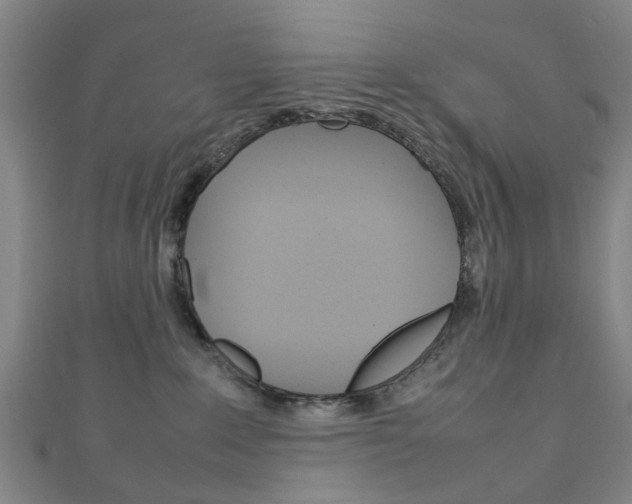 X0000111250235200907021026