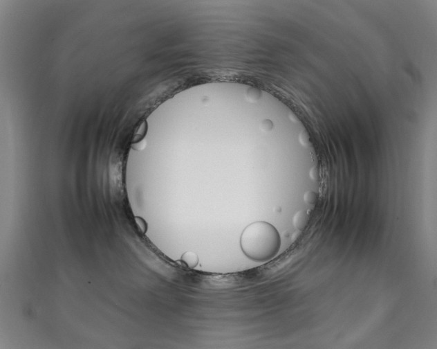 X0000111250238200907021026