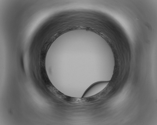 X0000111250239200907021026