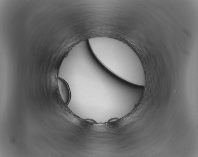 X0000111250240200907021026