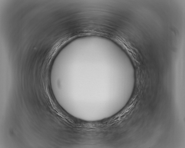 X0000111250241200907021025