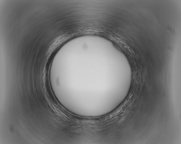 X0000111250242200907021025