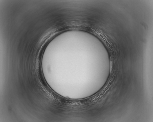 X0000111250243200907021025
