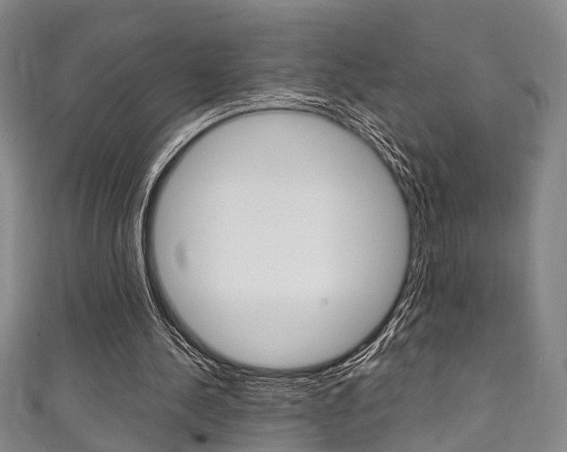 X0000111250244200907021025