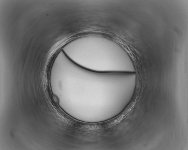 X0000111250245200907021025