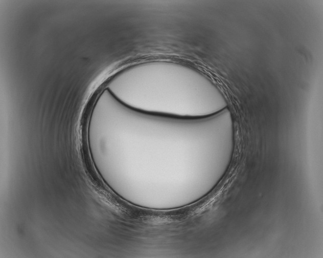 X0000111250246200907021025