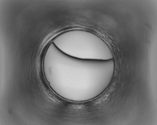 X0000111250247200907021025