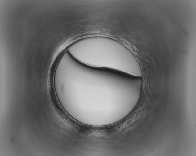 X0000111250248200907021025