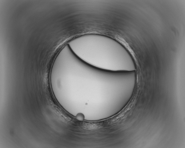 X0000111250249200907021025