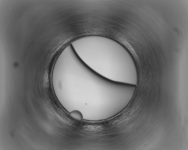 X0000111250251200907021025