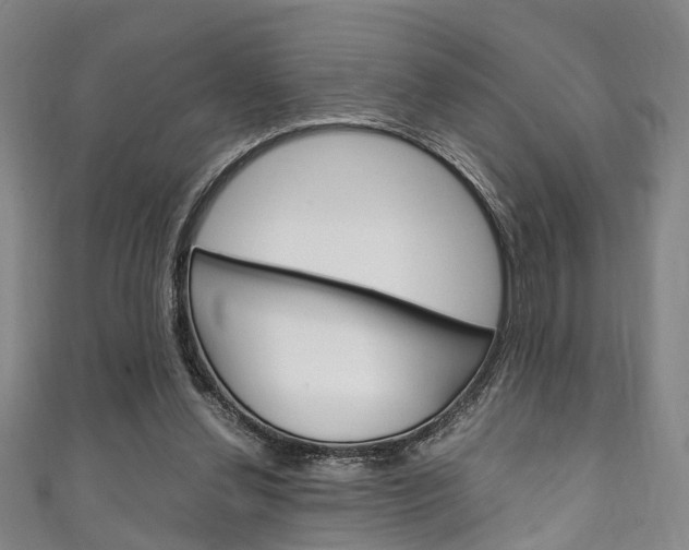 X0000111250252200907021025