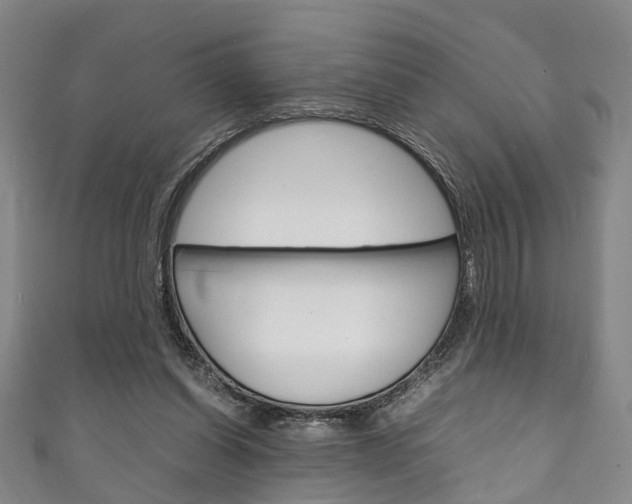 X0000111250254200907021025