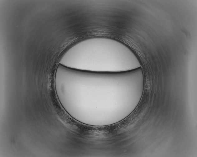 X0000111250255200907021025