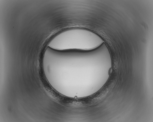 X0000111250256200907021025