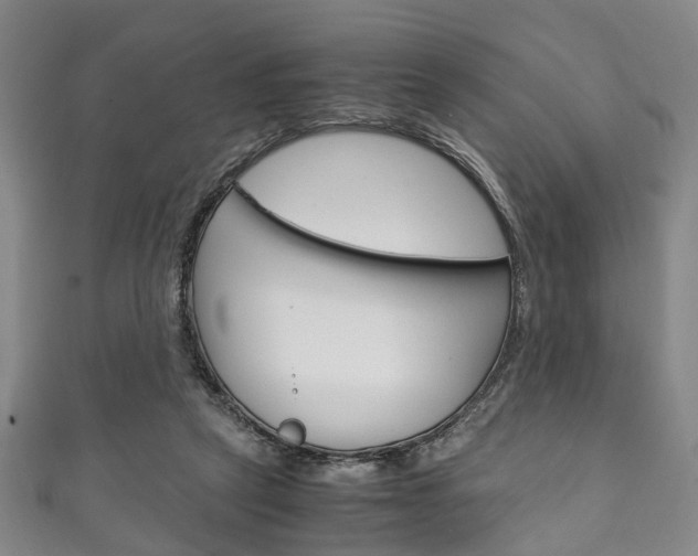 X0000111250257200907021025