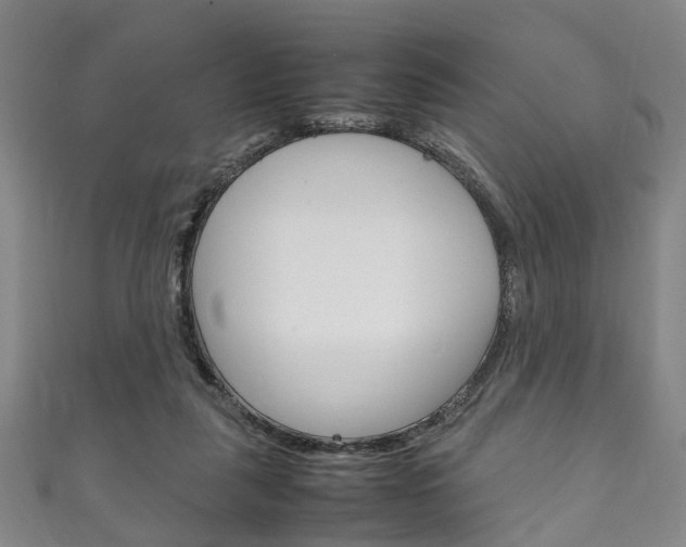 X0000111250259200907021025