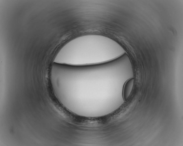 X0000111250260200907021025