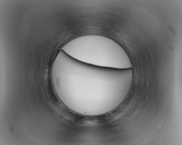 X0000111250263200907021025