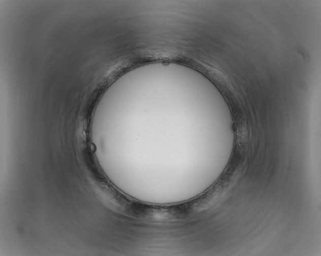 X0000111250264200907021026
