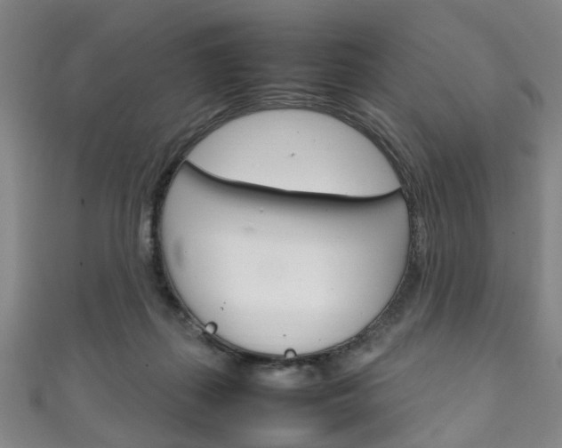 X0000111250267200907021026