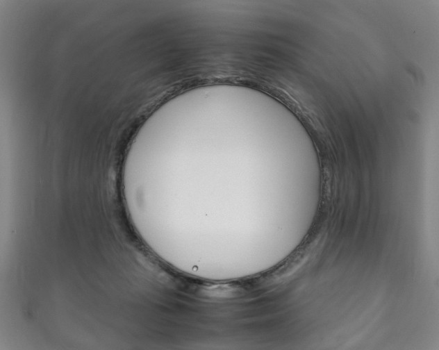X0000111250269200907021026