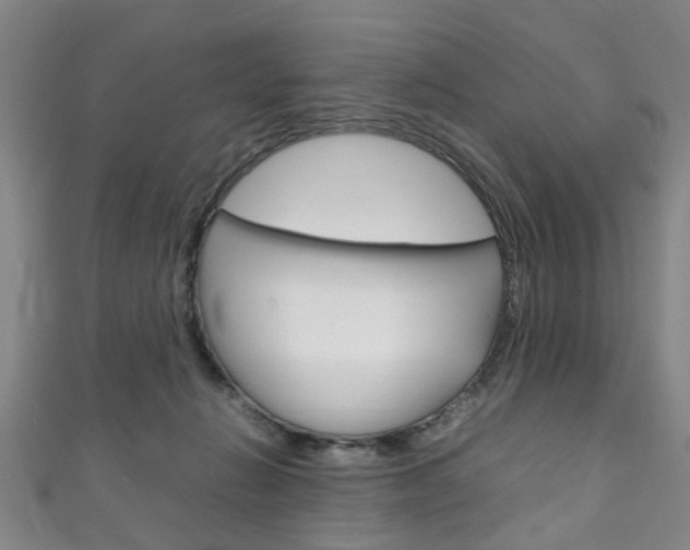 X0000111250270200907021026