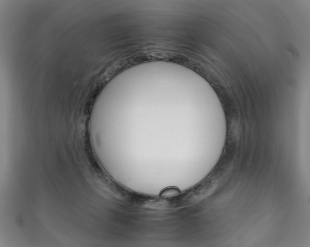 X0000111250271200907021026