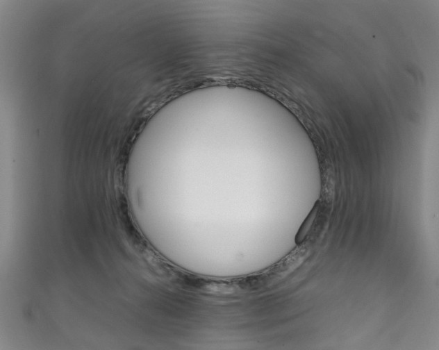 X0000111250272200907021026