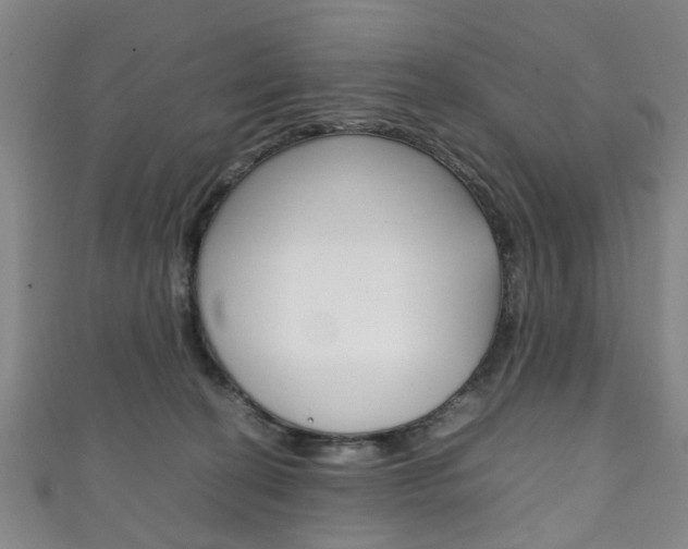 X0000111250274200907021026