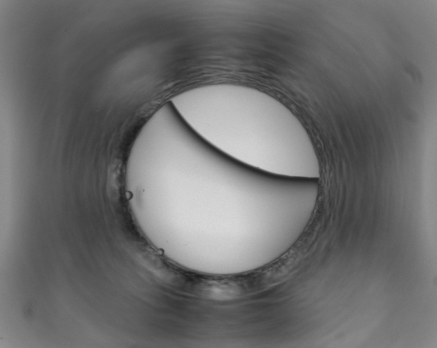 X0000111250275200907021026