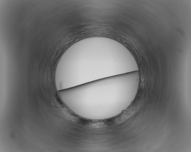 X0000111250278200907021026
